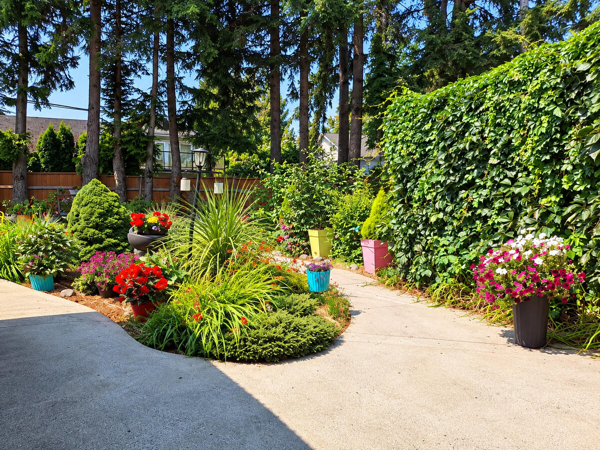 Garden & Outdoor Space Garden & Outdoor Space