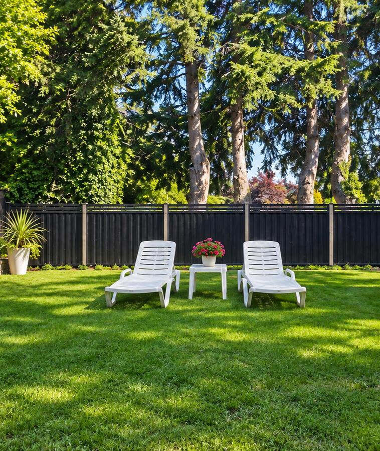 Garden & Outdoor Space